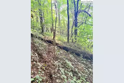 Tract 1 Oak Trail, Creston, NC 28615 - Photo 9