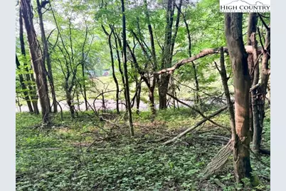 Tract 1 Oak Trail, Creston, NC 28615 - Photo 17