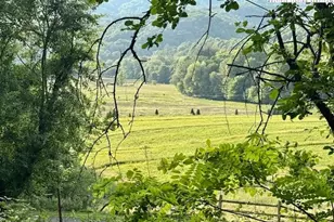 Tract 1 Oak Trail, Creston, NC 28615 - Photo 1