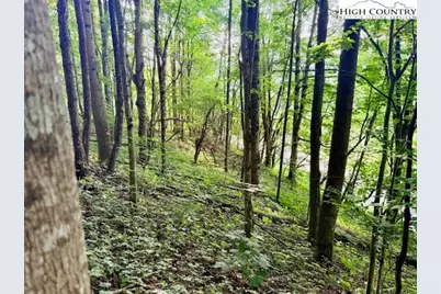 Tract 1 Oak Trail, Creston, NC 28615 - Photo 3