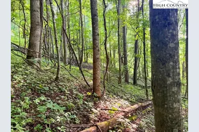 Tract 1 Oak Trail, Creston, NC 28615 - Photo 13