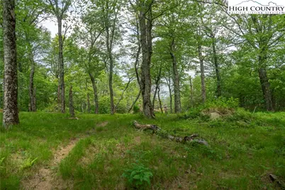 75 Green Cliffs Road, Sugar Mountain, NC 28604 - Photo 3