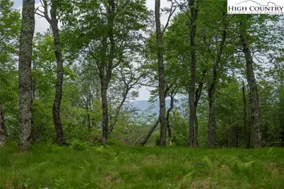 75 Green Cliffs Road, Sugar Mountain, NC 28604 - Photo 1