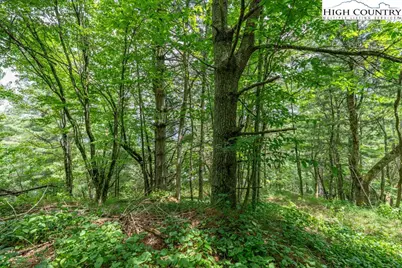 Lot 36B Indian Springs Road, Boone, NC 28607 - Photo 13