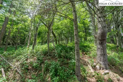Lot 36B Indian Springs Road, Boone, NC 28607 - Photo 7