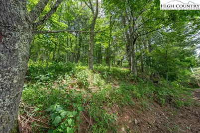 Lot 36B Indian Springs Road, Boone, NC 28607 - Photo 9