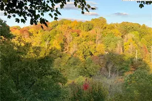 492 Skyland View Dr, Blowing Rock, NC 28605 - Photo 47