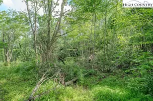 876 Courtney Ln, Vilas, NC 28692 - Photo 43