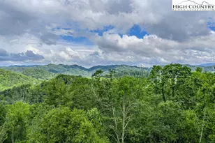 876 Courtney Ln, Vilas, NC 28692 - Photo 39