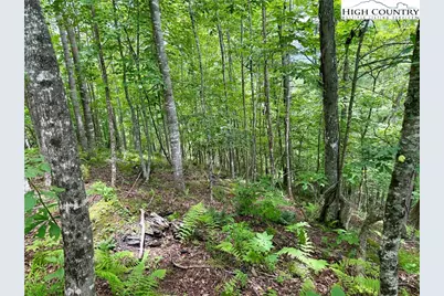 Lot 20 Twin Bridges Circle, Fleetwood, NC 28626 - Photo 7