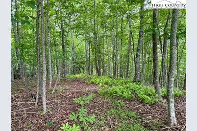 Lot 20 Twin Bridges Circle, Fleetwood, NC 28626 - Photo 3