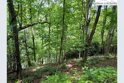 Lot 20 Twin Bridges Circle, Fleetwood, NC 28626 - Photo 9