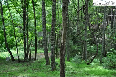 Lot 3 Sec 11 Talons Drive, Boone, NC 28607 - Photo 17