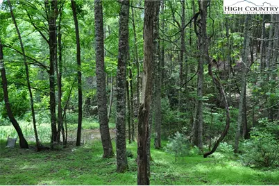 Lot 3 Sec 11 Talons Drive, Boone, NC 28607 - Photo 5