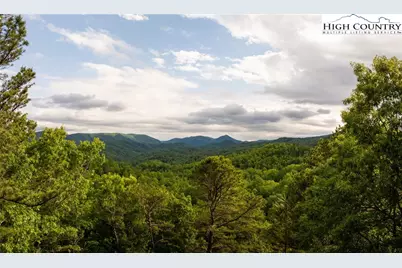 52 Coral Bells Trail, Ferguson, NC 28624 - Photo 1