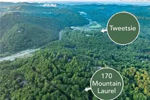 170 Mountain Laurel Ln, Blowing Rock, NC 28605 - Photo 7