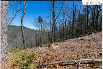 84 Wilderness Reserve Parkway, Deep Gap, NC 28618 - Photo 7