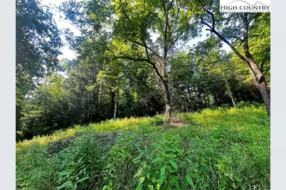 2034 Champion Mt Pleasant Road, Ferguson, NC 28624 - Photo 13