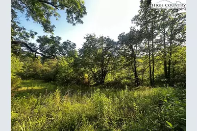 2034 Champion Mt Pleasant Road, Ferguson, NC 28624 - Photo 39