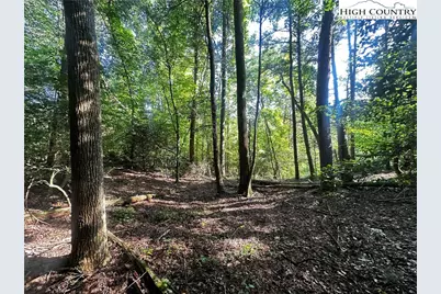 2034 Champion Mt Pleasant Road, Ferguson, NC 28624 - Photo 15