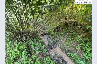 2034 Champion Mt Pleasant Road, Ferguson, NC 28624 - Photo 9