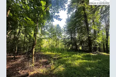 2034 Champion Mt Pleasant Road, Ferguson, NC 28624 - Photo 35