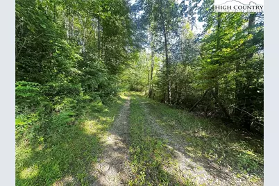 2034 Champion Mt Pleasant Road, Ferguson, NC 28624 - Photo 3