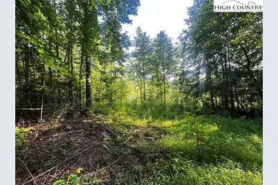 2034 Champion Mt Pleasant Road, Ferguson, NC 28624 - Photo 21