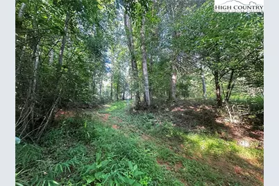 2034 Champion Mt Pleasant Road, Ferguson, NC 28624 - Photo 19