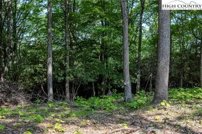 Lot 42 Poplar Forest Drive, Boone, NC 28607 - Photo 9