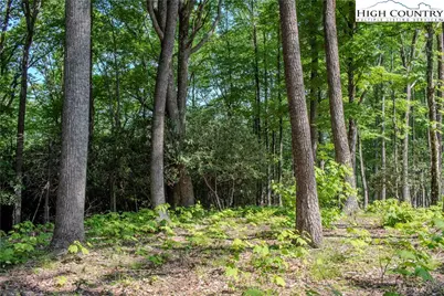 Lot 42 Poplar Forest Drive, Boone, NC 28607 - Photo 3
