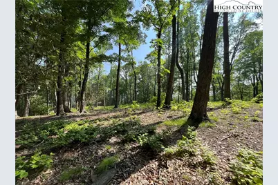 Lot 42 Poplar Forest Drive, Boone, NC 28607 - Photo 7