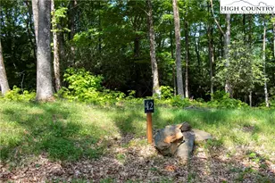 Lot 42 Poplar Forest Dr, Boone, NC 28607 - Photo 1