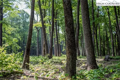 Lot 42 Poplar Forest Drive, Boone, NC 28607 - Photo 5