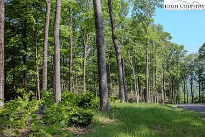 Lot 42 Poplar Forest Drive, Boone, NC 28607 - Photo 15