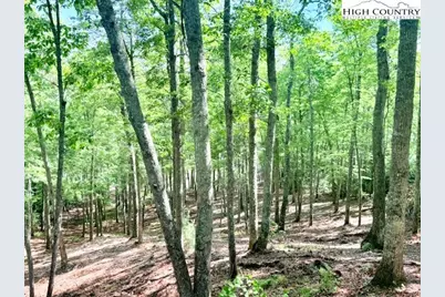 Lot 42 Smoke Rise Path, West Jefferson, NC 28694 - Photo 7