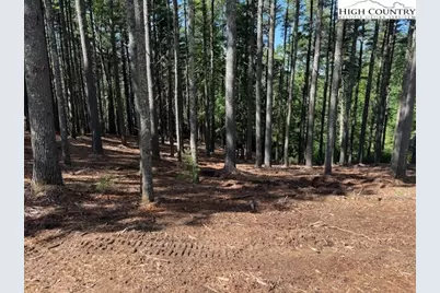 Lot 37 Smoke Rise Path, West Jefferson, NC 28694 - Photo 13