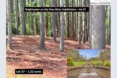 Lot 37 Smoke Rise Path, West Jefferson, NC 28694 - Photo 1