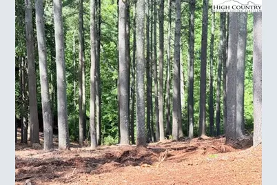 Lot 37 Smoke Rise Path, West Jefferson, NC 28694 - Photo 5