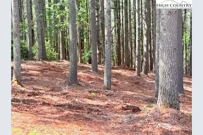 Lot 37 Smoke Rise Path, West Jefferson, NC 28694 - Photo 3