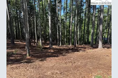 Lot 37 Smoke Rise Path, West Jefferson, NC 28694 - Photo 9