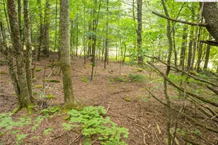 230 Westcove Ln, Boone, NC 28607 - Photo 41