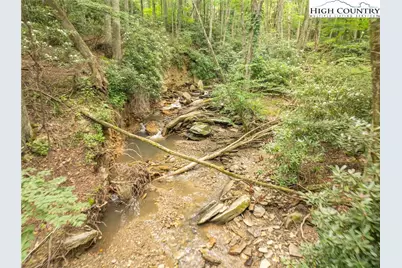 230 Westcove Lane, Boone, NC 28607 - Photo 33