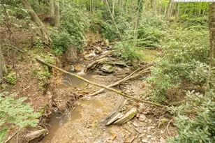 230 Westcove Ln, Boone, NC 28607 - Photo 33