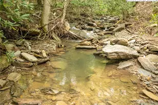 230 Westcove Ln, Boone, NC 28607 - Photo 31