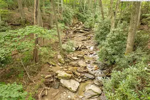 230 Westcove Ln, Boone, NC 28607 - Photo 5