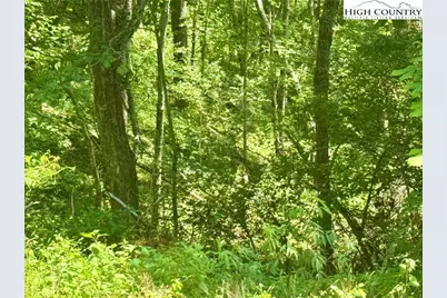Tbd Hemlock Drive, Newland, NC 28657 - Photo 5