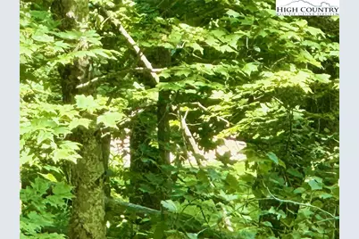 Tbd Hemlock Drive, Newland, NC 28657 - Photo 7