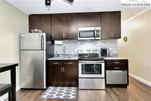 301 Pinnacle Inn Rd, Banner Elk, NC 28604 - Photo 5