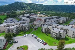 301 Pinnacle Inn Rd, Banner Elk, NC 28604 - Photo 9